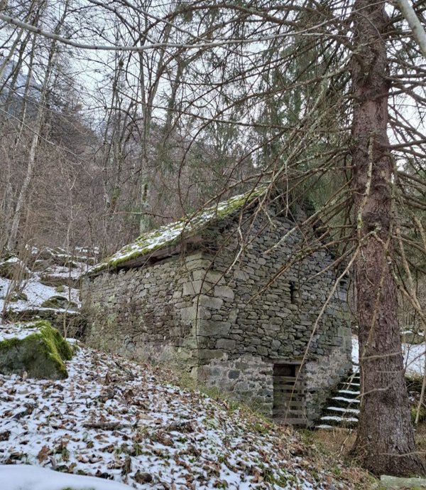 appartamento in vendita a Premia