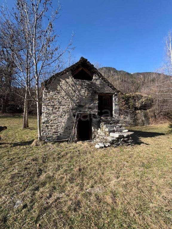 casa indipendente in vendita a Premia