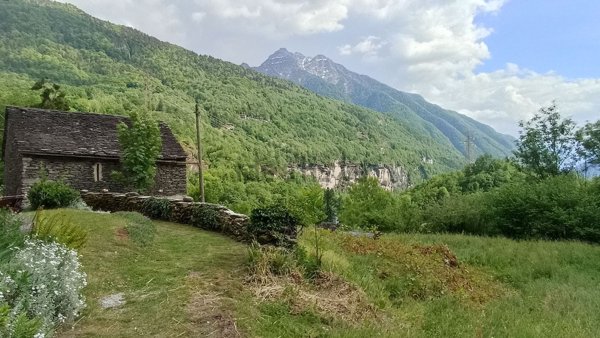 appartamento in vendita a Premia