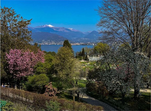 appartamento in vendita a Stresa