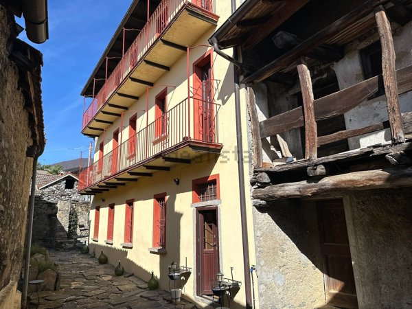 esavano in vendita a Trarego Viggiona