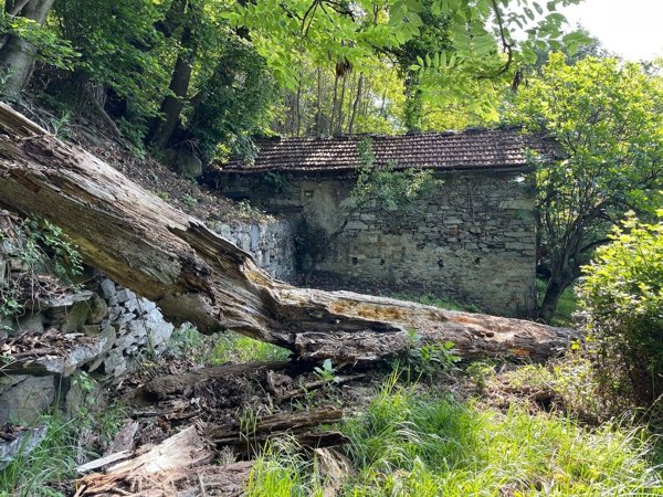 appartamento in vendita a Trarego Viggiona