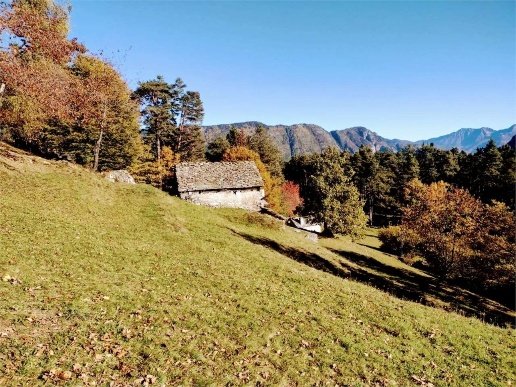 appartamento in vendita a Trasquera