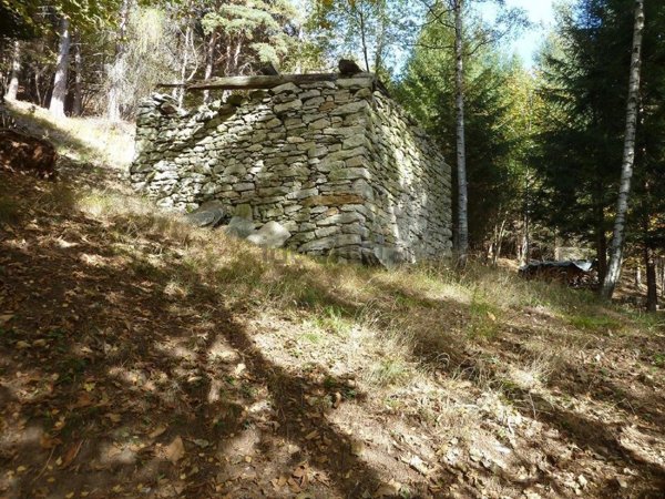 appartamento in vendita a Trasquera