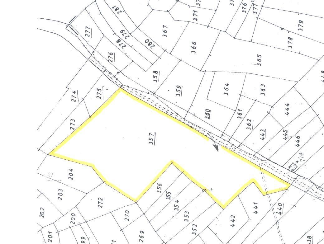 terreno agricolo in vendita a Trontano