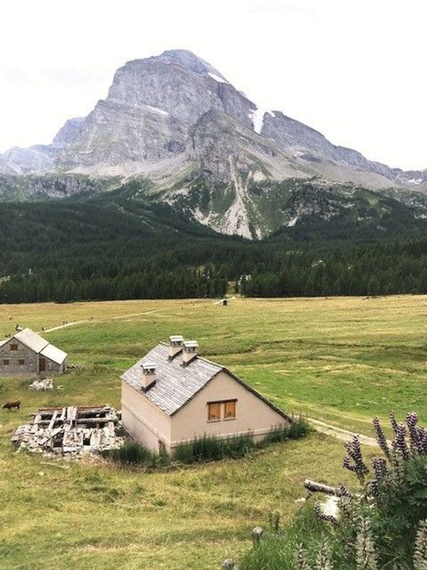 quadrivano in vendita a Varzo