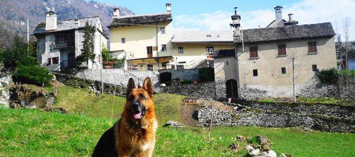 casa indipendente in vendita a Varzo in zona Colla