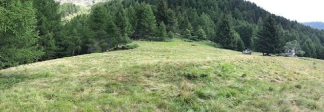 appartamento in vendita a Varzo in zona San Domenico