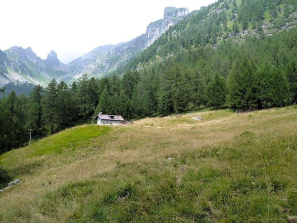appartamento in vendita a Varzo