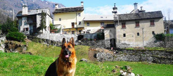 casa indipendente in vendita a Varzo in zona Colla