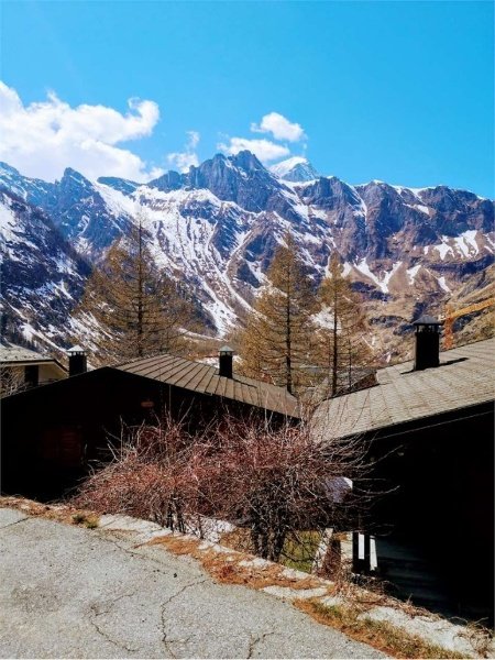appartamento in vendita a Varzo in zona San Domenico