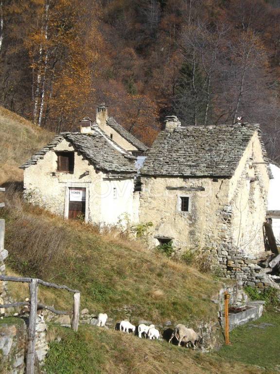 casa indipendente in vendita a Varzo in zona San Domenico