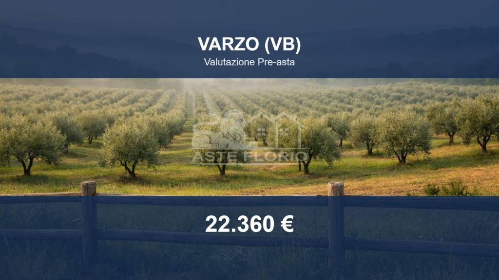 terreno agricolo in vendita a Varzo