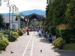 negozio in vendita a Verbania