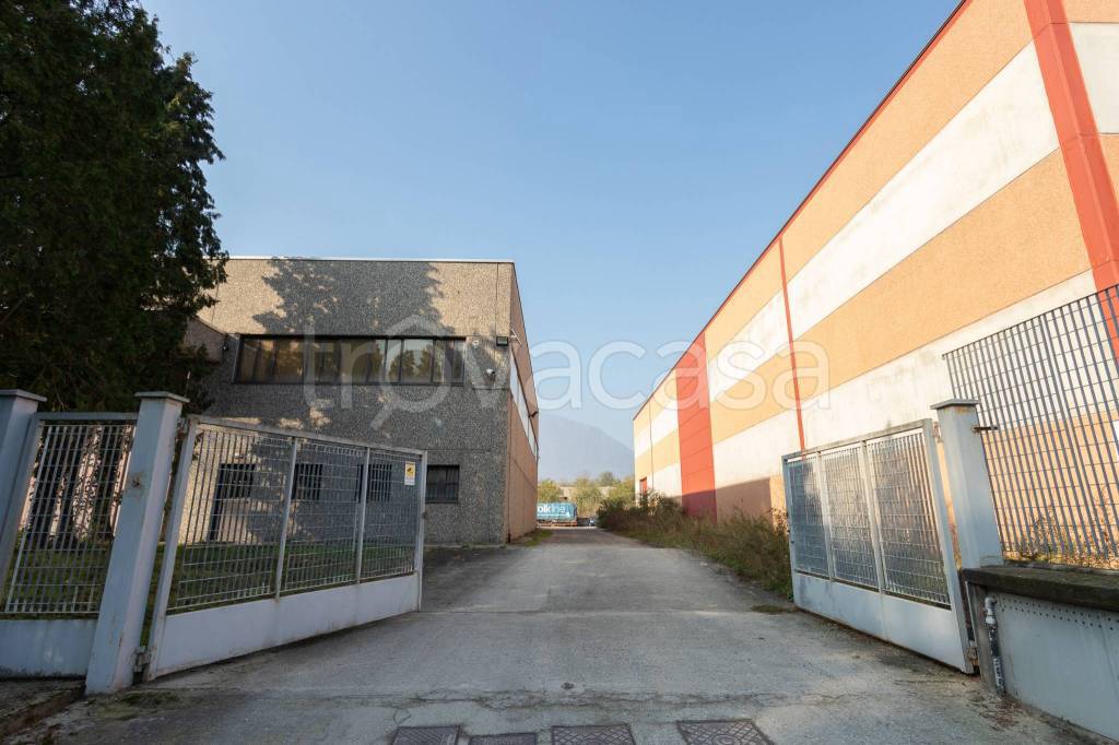 immagine annuncio 0 di 15