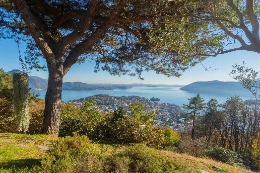casa indipendente in vendita a Verbania in zona Monterosso