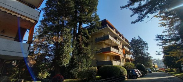 appartamento in vendita a Verbania