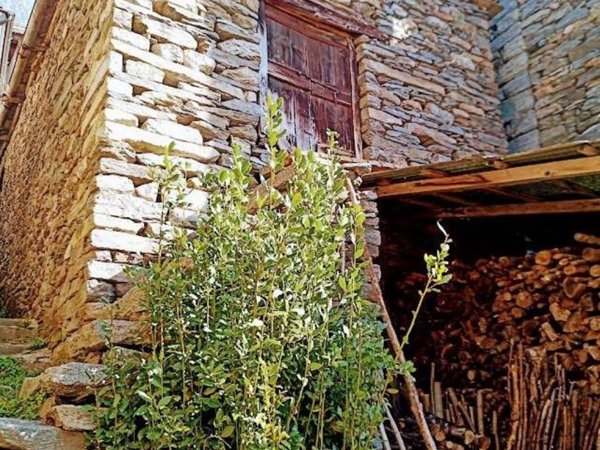 casa indipendente in vendita a Villadossola