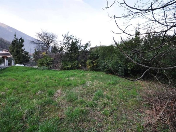 immagine annuncio 0 di 1