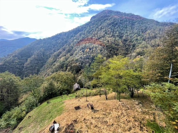 appartamento in vendita a Valle Cannobina