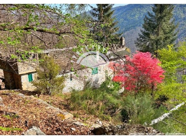 casa indipendente in vendita a Valle Cannobina