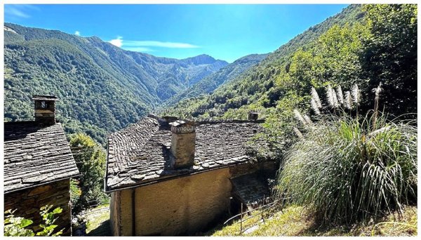 quadrivano in vendita a Valle Cannobina