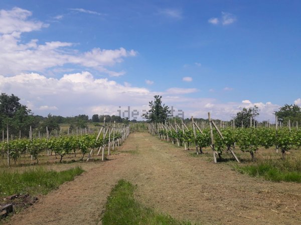 terreno agricolo in vendita ad Agrate Brianza