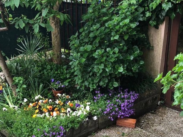 casa indipendente in vendita ad Agrate Brianza