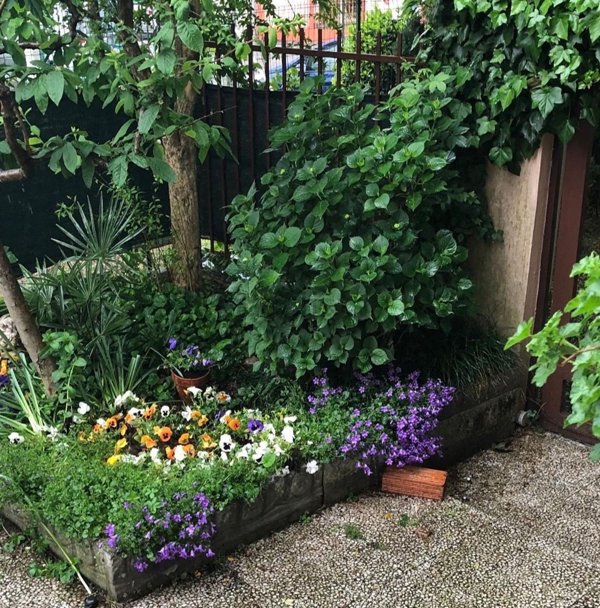 casa indipendente in vendita ad Agrate Brianza