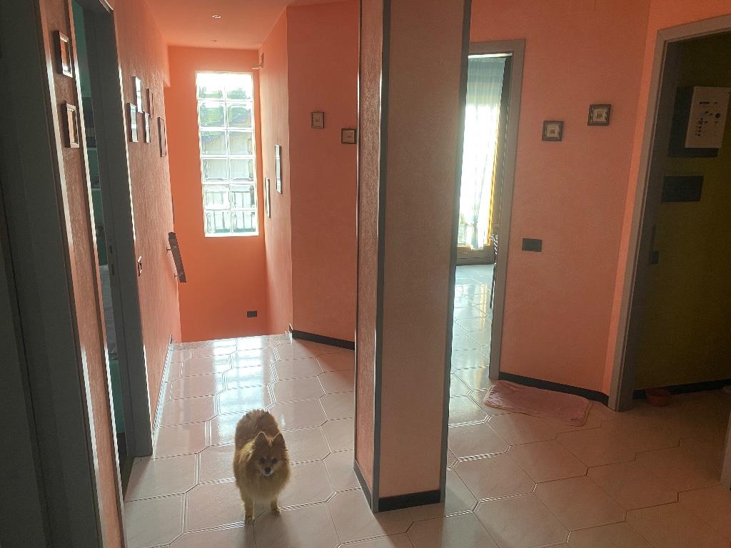 casa indipendente in vendita a Barlassina