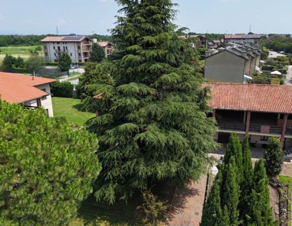 appartamento in vendita a Bellusco