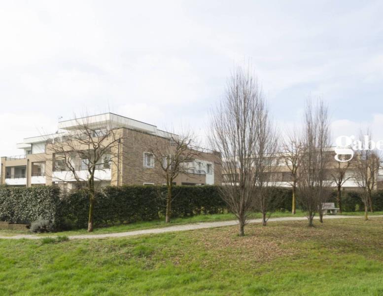 appartamento in vendita a Bernareggio