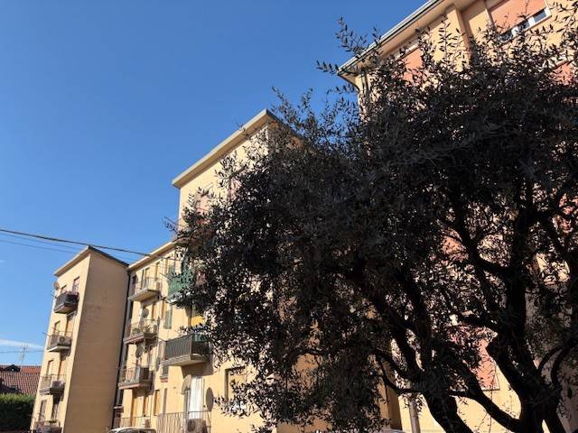 appartamento in vendita a Bernareggio