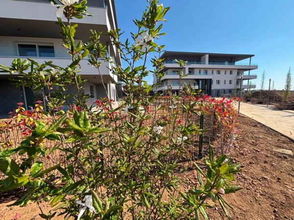 immagine annuncio 0 di 5