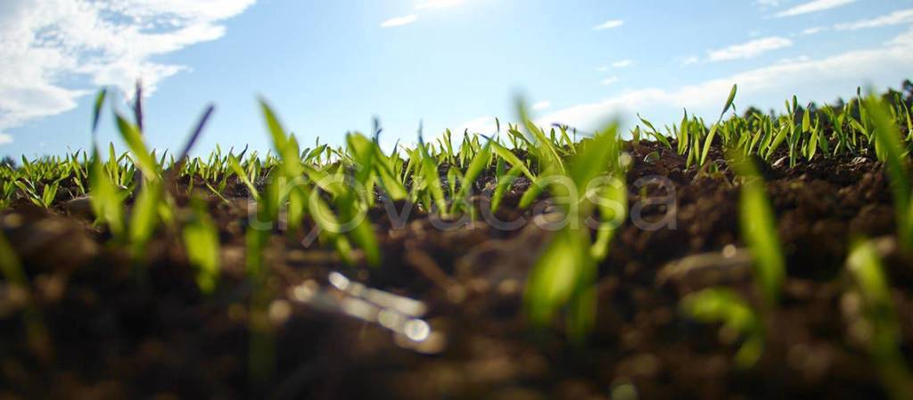 terreno agricolo in vendita a Besana in Brianza