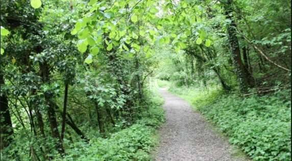 appartamento in vendita a Besana in Brianza