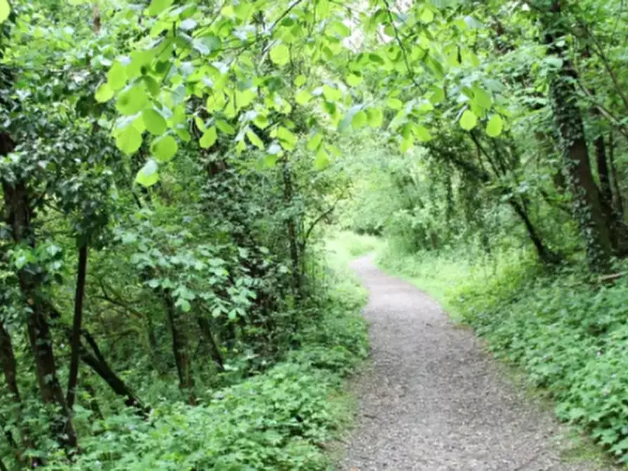 terreno agricolo in vendita a Besana in Brianza