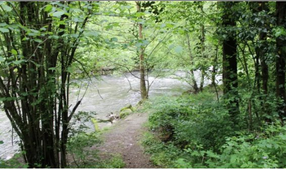 terreno agricolo in vendita a Besana in Brianza