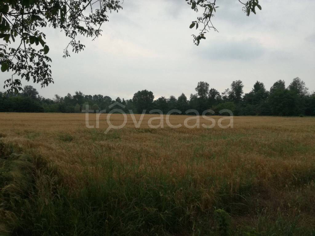 terreno agricolo in vendita a Besana in Brianza