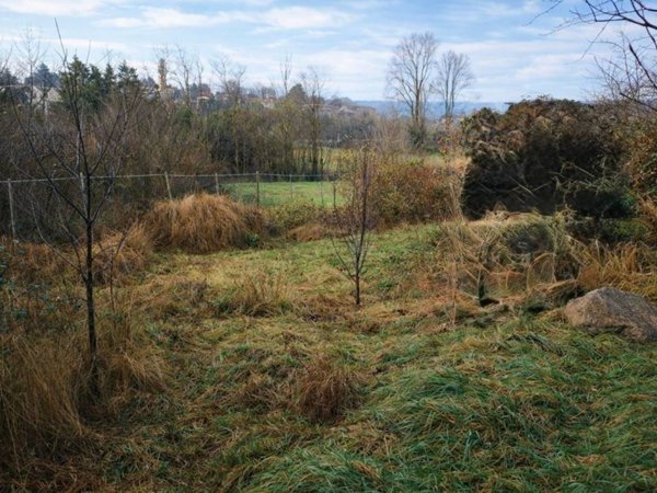 terreno agricolo in vendita a Besana in Brianza in zona Calò