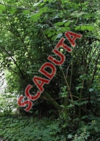 terreno edificabile in vendita a Besana in Brianza