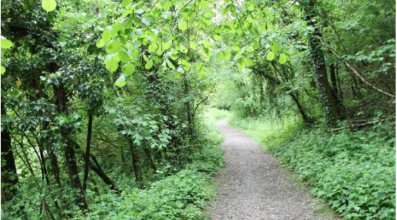 terreno agricolo in vendita a Besana in Brianza