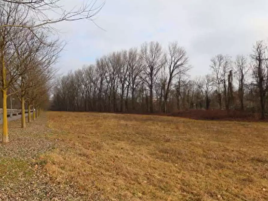 terreno agricolo in vendita a Biassono