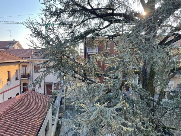 appartamento in vendita a Bovisio-Masciago