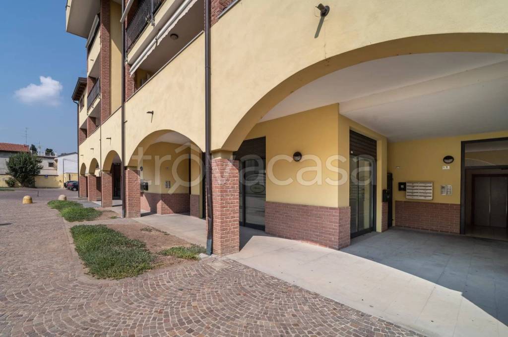 immagine annuncio 0 di 15