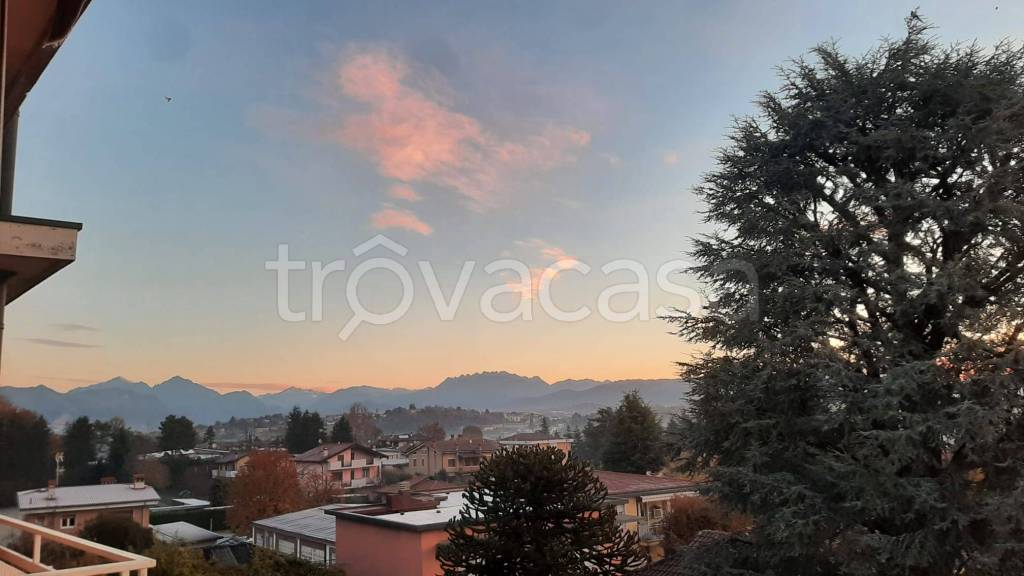 appartamento in vendita a Briosco