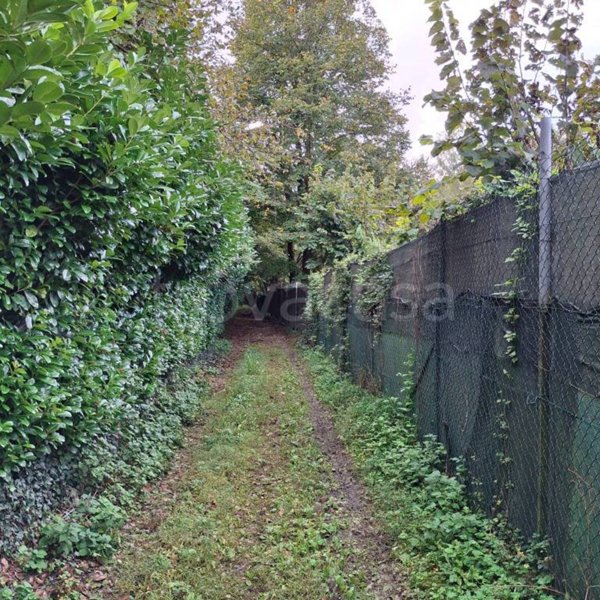 terreno agricolo in vendita a Briosco