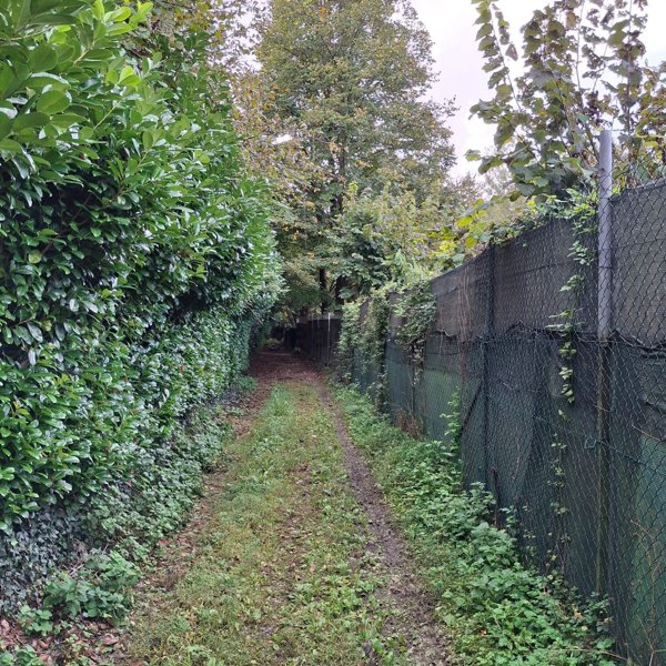 terreno agricolo in vendita a Briosco