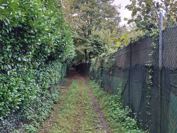 terreno agricolo in vendita a Briosco
