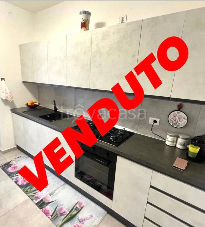 appartamento in vendita a Briosco